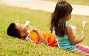 Coi chừng trẻ bị ong đốt, rắn cắn