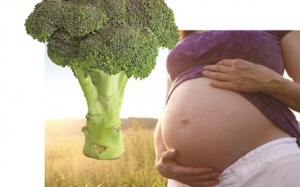 Ăn theo ngũ hành - Kéo dài tuổi thanh xuân