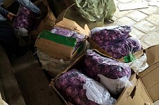 Bắt giữ lượng lớn trà giảm cân 'siêu rẻ' từ Trung Quốc