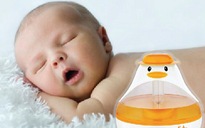 Sử dụng máy phun sương: Không thể bỏ qua an toàn