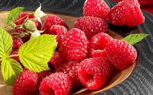 Ngừa ung thư đại tràng