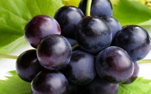 Ăn nho cùng hoặc gần lúc với 3 thực phẩm sau rất nguy hiểm