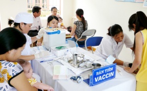 Hà Nội tiêm vét vaccine viêm não Nhật Bản