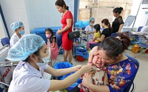 Tiêm vaccine viêm não Nhật Bản :  Lại “mất bò mới lo làm chuồng”.