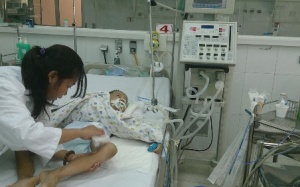 TP.HCM đã xuất hiện viêm não Nhật Bản