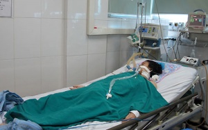 Viêm não virus vào  'đỉnh' dịch?