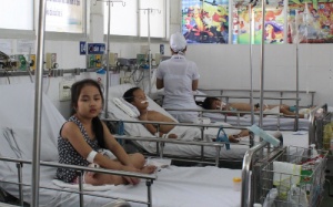 Viêm não Nhật Bản lây qua đường muỗi chích