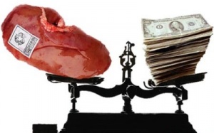 Châu Âu tăng cường chống buôn bán nội tạng người