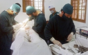 Cấp cứu kịp thời cứu thành công một ngư dân trên đảo Bạch Long Vĩ