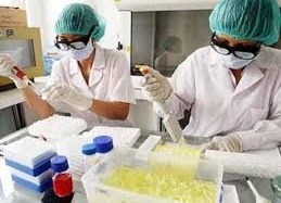 Công bố liệu pháp đột phá trong việc điều trị ung thư