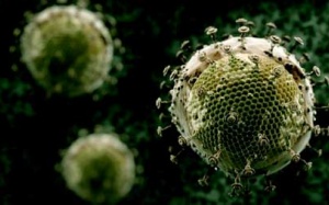 WHO cảnh báo nguy cơ lây nhiễm HIV ở những người đồng tính nam