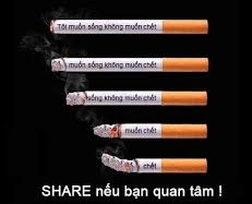 Mỗi năm, người Việt Nam tiêu thụ hơn 4 tỷ bao thuốc lá