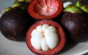 Măng cụt - quả thuốc