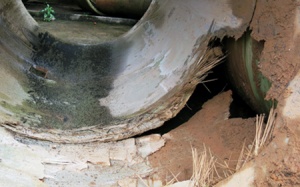 Có hay không “bất thường” trong sự mạnh dạn đi đầu của Vinaconex?