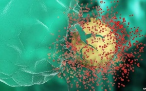 Dịch bệnh AIDS có thể được kiểm soát vào năm 2030