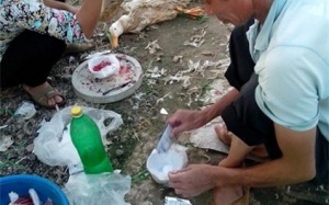 Cận cảnh hãm tiết vịt bằng chậu và bột “lạ“ (Kỳ II)