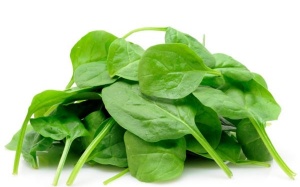 Top thực phẩm chống béo bụng tốt nhất 2014