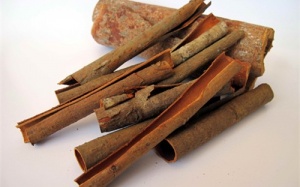 Quế giúp trì hoãn Parkinson