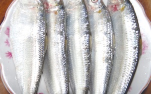 Bảo vệ khớp xương bằng cá