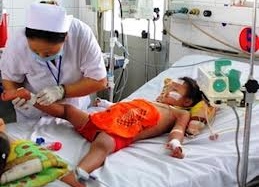 Bài thuốc dân gian trị sốt xuất huyết