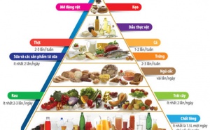 Tháp dinh dưỡng dành cho bé