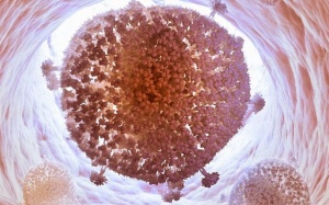 Có thể loại bỏ virus HIV khỏi tế bào người