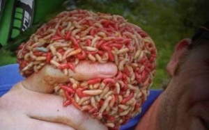 Rùng rợn trước những phương pháp chữa bệnh của con người