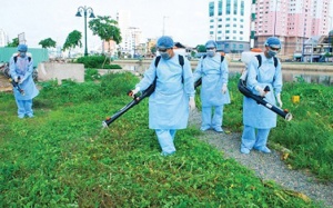 Hà Nội: 8 ổ dịch sốt xuất huyết được ghi nhận