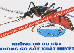 Chủ động trước nguy cơ bùng phát dịch sốt xuất huyết