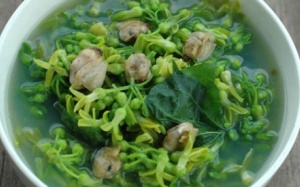 Canh thiên lý nấu ngao mát ngọt