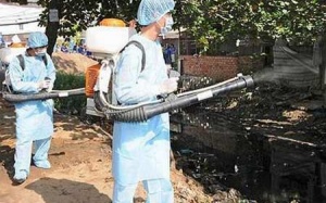 Hiểm họa của bệnh sốt xuất huyết