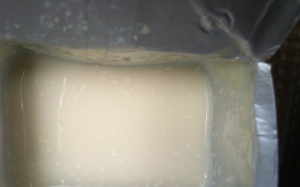 Sữa pha sẵn đóng váng do lỗi bảo quản?