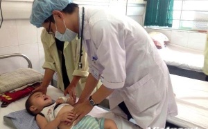 Sơn La: Bùng phát viêm não Nhật Bản