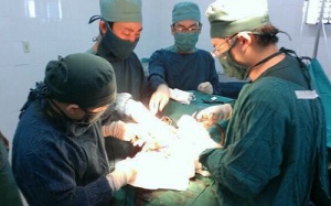 Đồng Nai: Phẫu thuật thành công cho bệnh nhi xoắn tinh hoàn