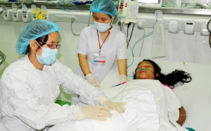 Đi cắt cỏ, hai chị em bị ong bò vẽ đốt nguy kịch