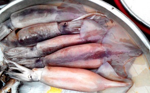 Nguồn gốc mực 'lạ' siêu rẻ ở TP.HCM