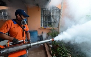 Phát hiện bệnh nhân sốt xuất huyết đầu tiên ở Nhật sau 70 năm.