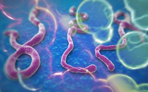 “Ebola dễ phòng tránh hơn bệnh sốt rét”