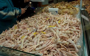 Đường đi vòng của những lô chân gà bẩn