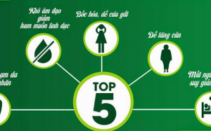 Hiểu đúng về nội tiết tố nữ estrogen để khỏe đẹp hơn