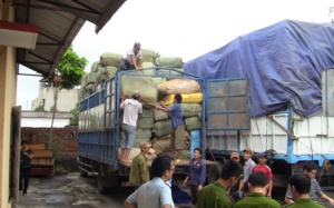 8 ô tô chở hơn 100 tấn hàng lậu bị bắt giữ