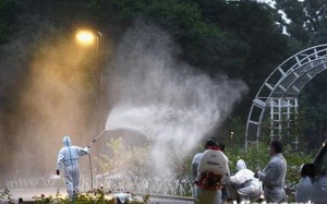 Phát hiện mầm bệnh sốt xuất huyết từ Tokyo, Nhật Bản