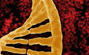 Nga tuyên bố phát minh ra cách chẩn đoán sớm bệnh ung thư