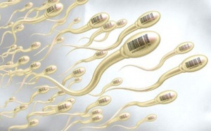 Linh Tự Đan có giúp cải thiện chất lượng tinh trùng?