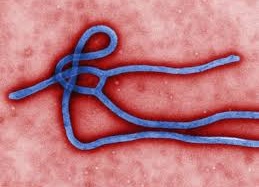 Thêm một vaccine Ebola sắp được thử nghiệm trên người
