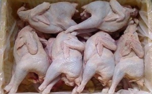 Gà thải loại 'ăn mòn sức khỏe'