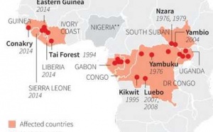 Ebola: Lập bản đồ dịch bệnh ở Tây Phi
