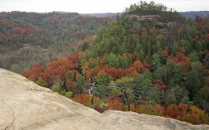 Sống sót thần kỳ khi rơi xuống vách đá sâu 19m