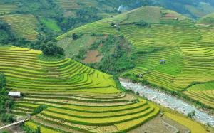 Biểu diễn dù bay trong Tuần văn hóa ruộng bậc thang