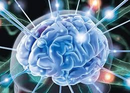 Cách cải thiện trí thông minh cho bạn